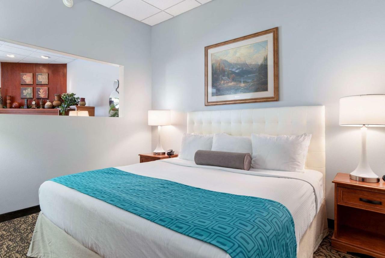 Studio Suite 1 King Bed Non-Smoking