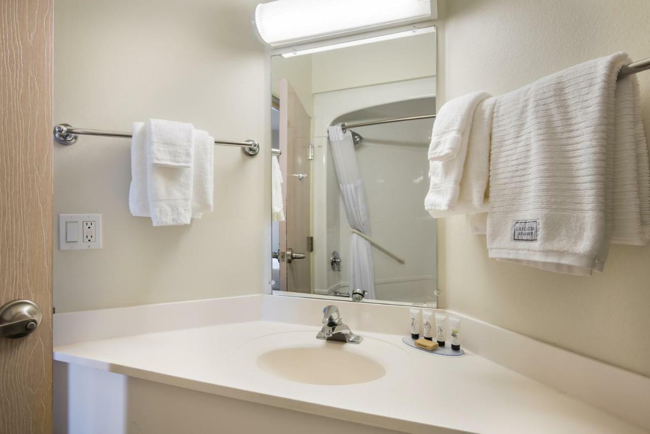 Pet Friendly Queen Room