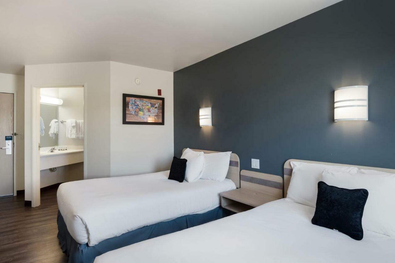 Pet Friendly Double Double Room