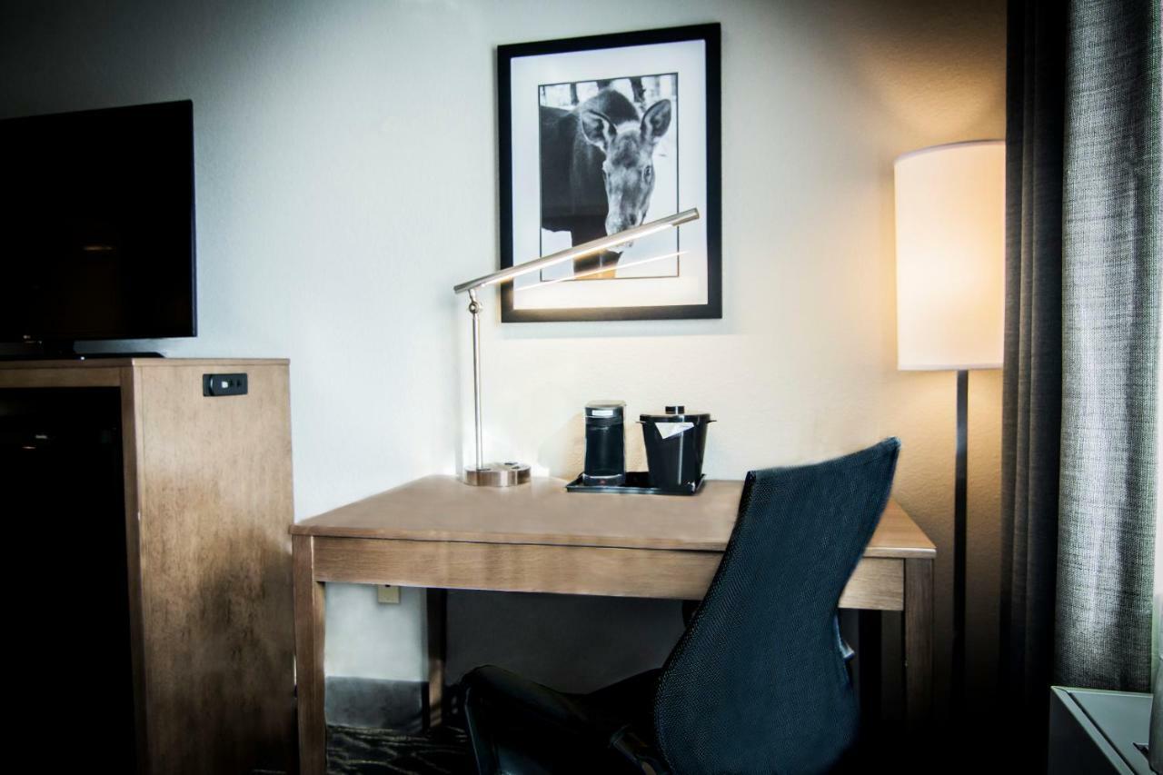 Executive King Room with Sofa Bed