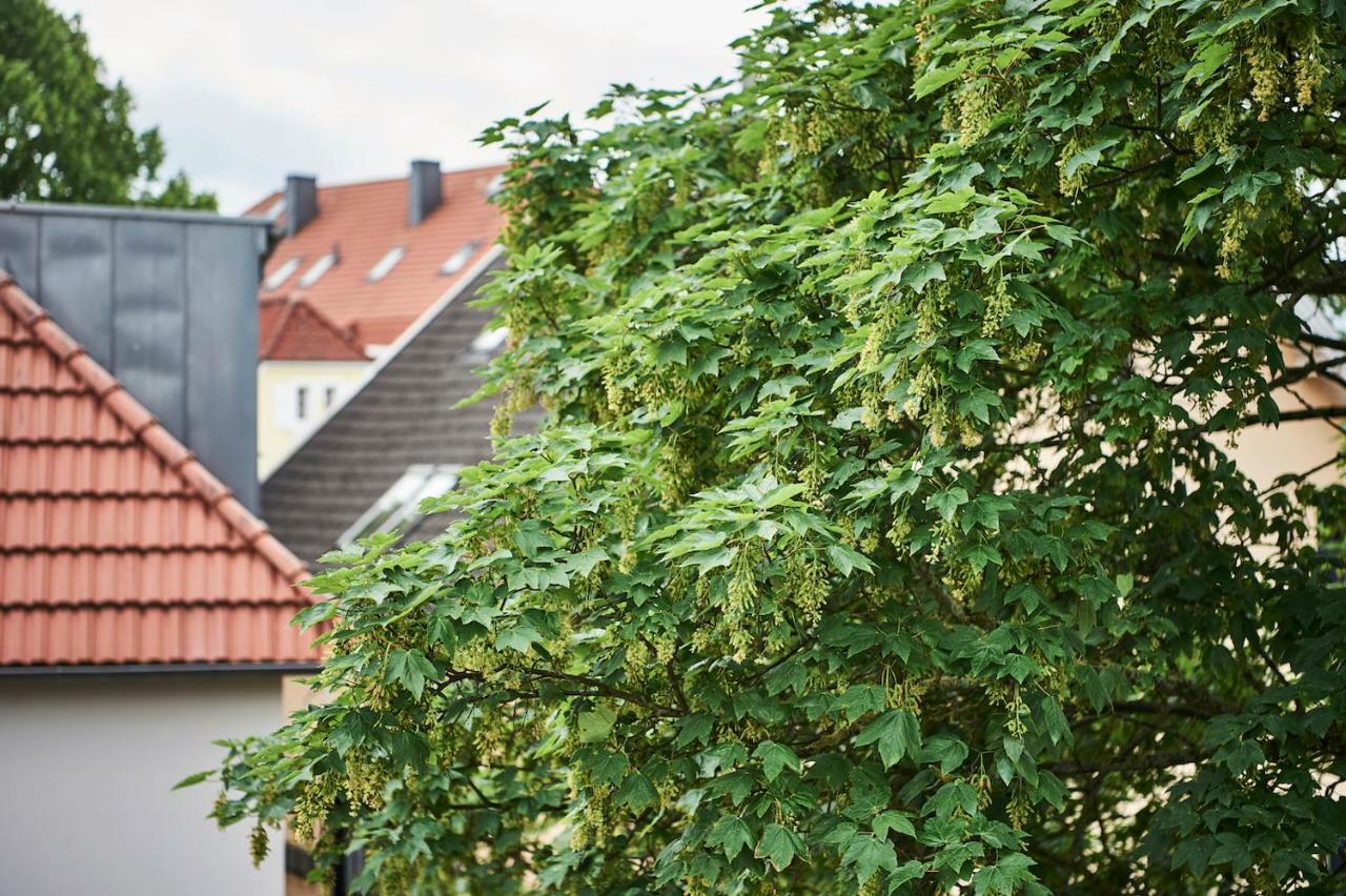 Apartment Terrace