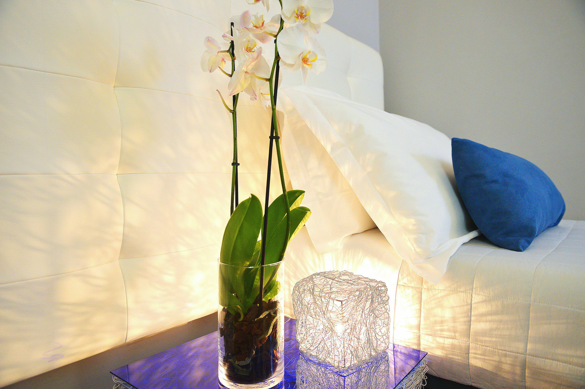 Quadruple Room Garden View