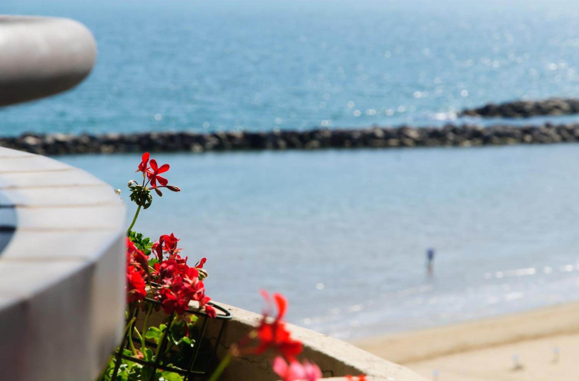 One Bedroom Apartment Lateral Sea View