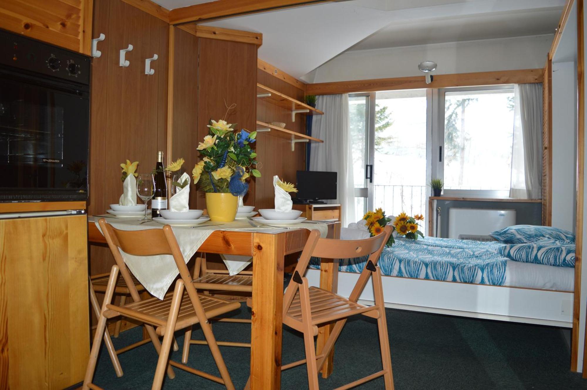 One-Bedroom Apartment Mountain View