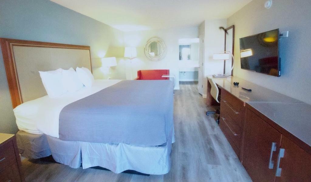 King Room Remodeled Smoking