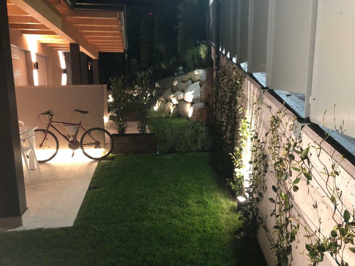 Loft Garden,790997922:JPEG