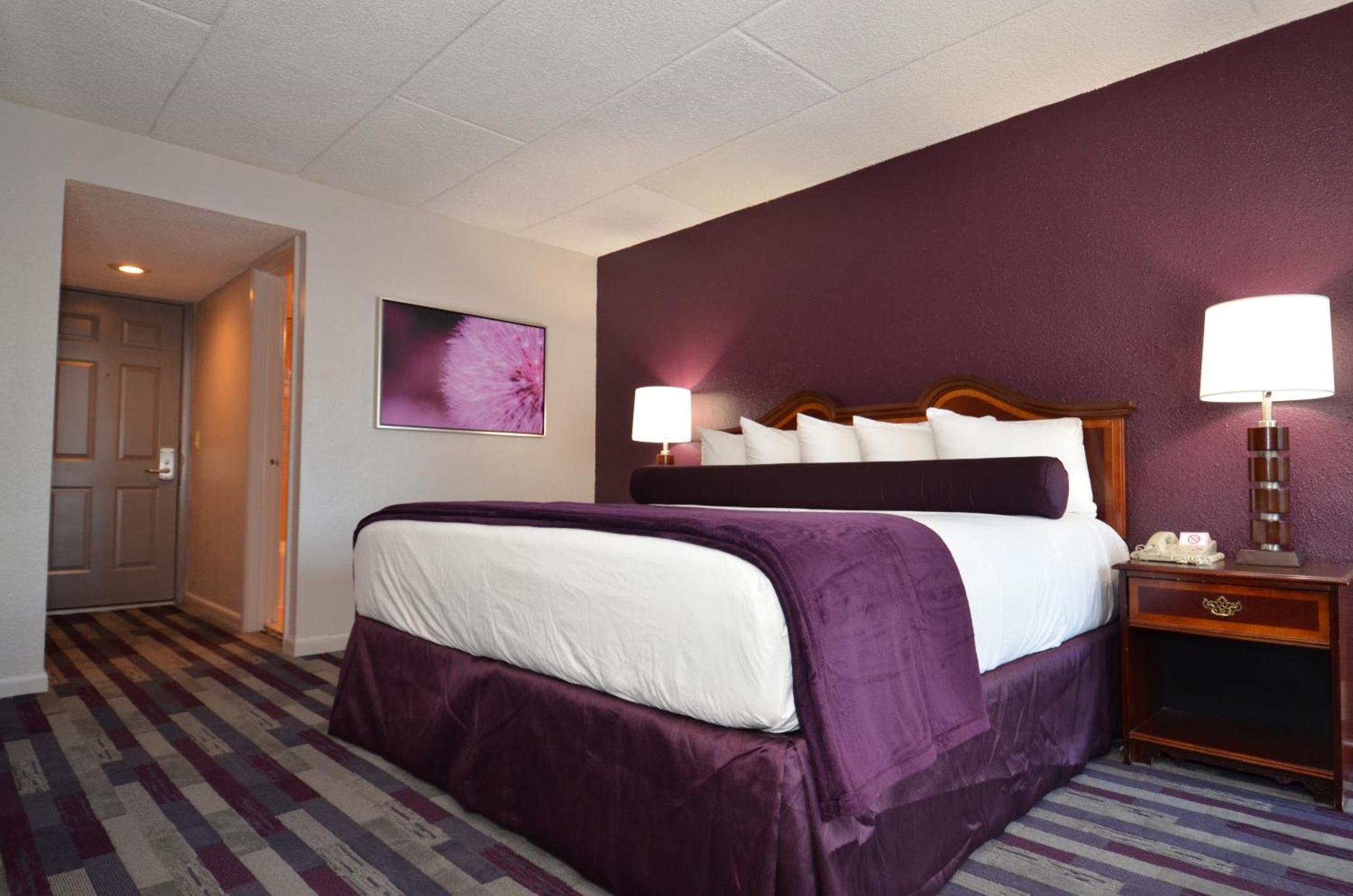 King Room,63123658:JPEG
