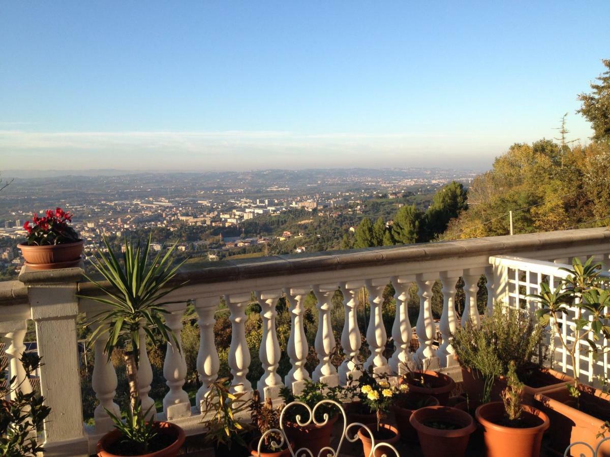King Room Mountain View