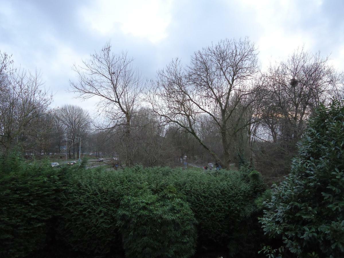 Deluxe Double or Twin Room Garden View