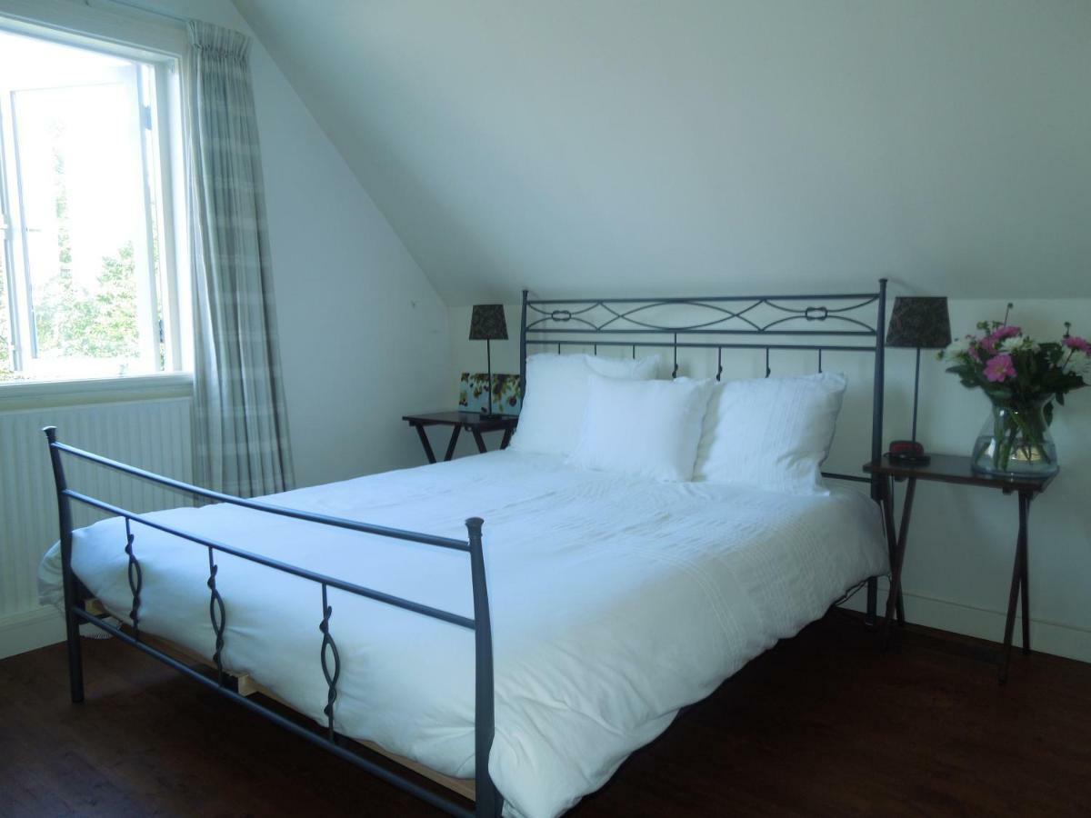 Standard Double Room,850932686:JPEG