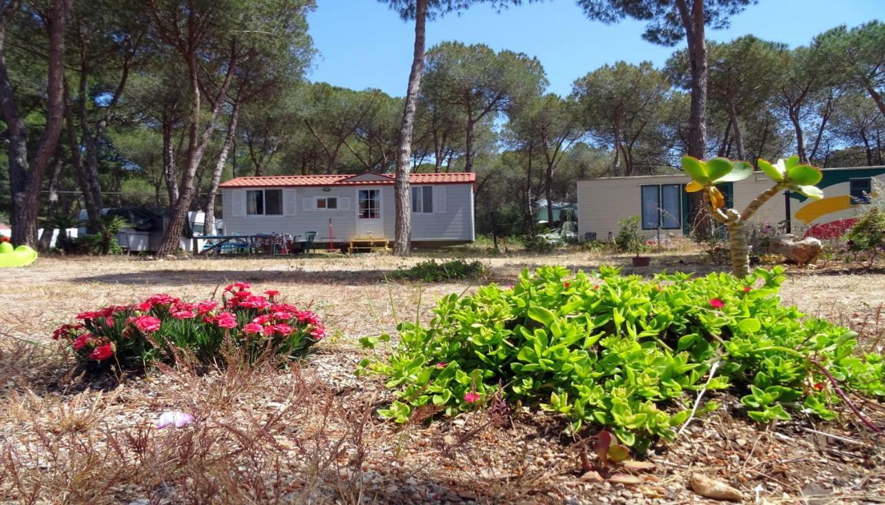 Two-Bedroom Mobile Home,905391730:JPEG