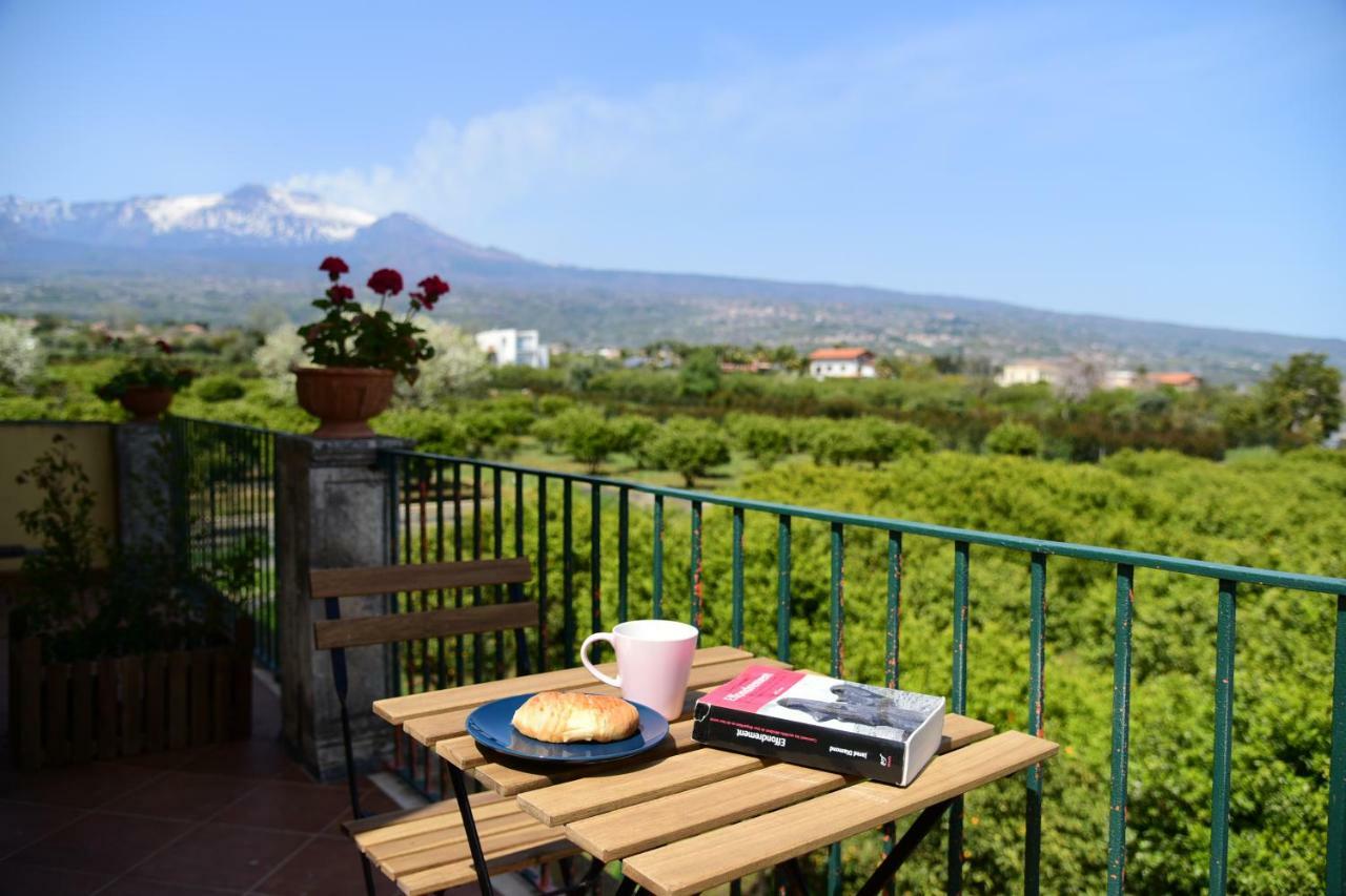 Suite Sea View