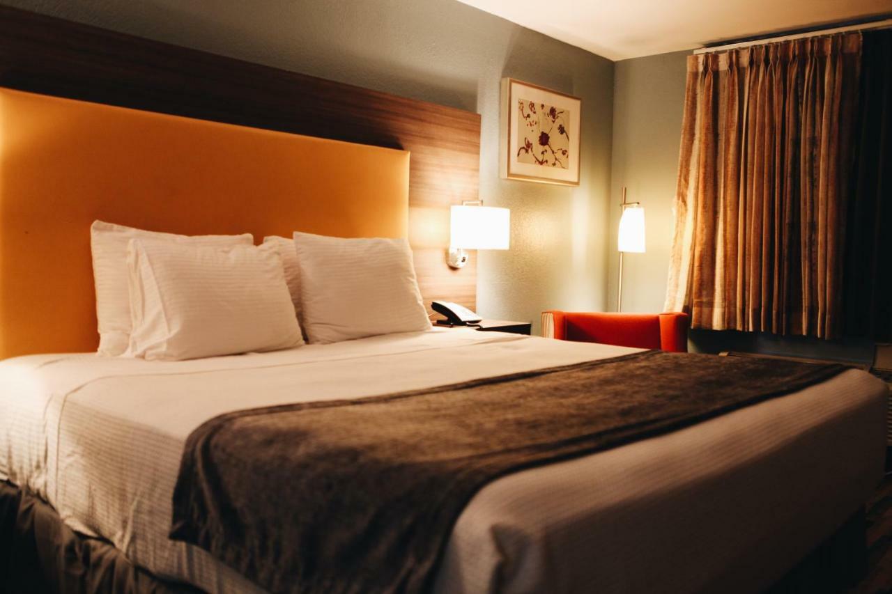 King Room Remodeled Non-Smoking