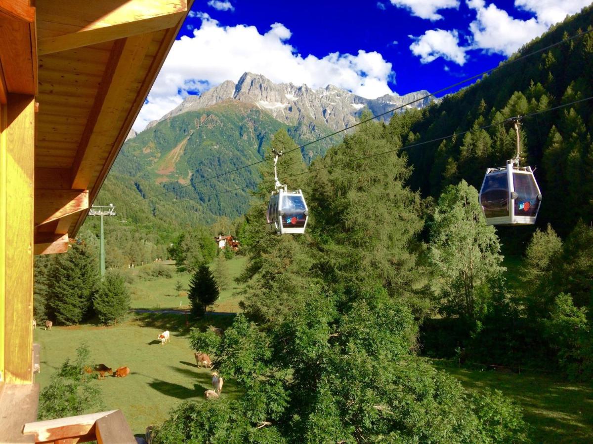 Double Room Balcony Mountain View