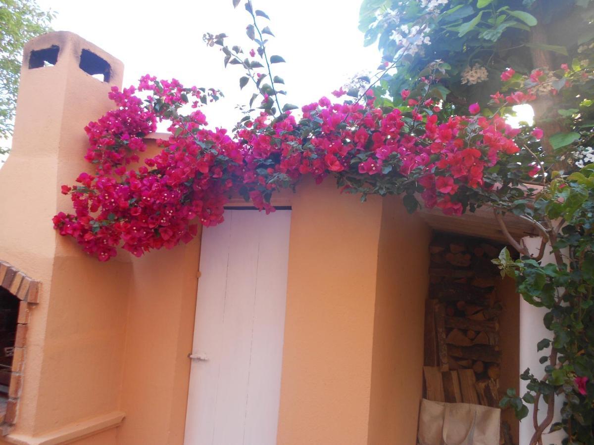 Double Room Garden View,1035768727:JPEG