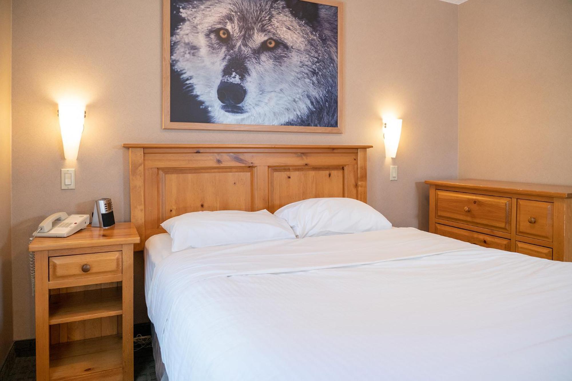 Loft Suite