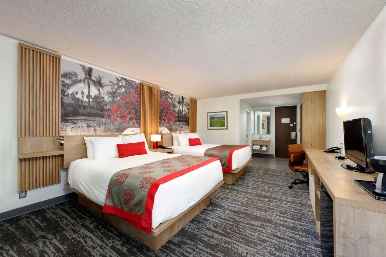Superior Queen Room with Garden View - Non-Smoking