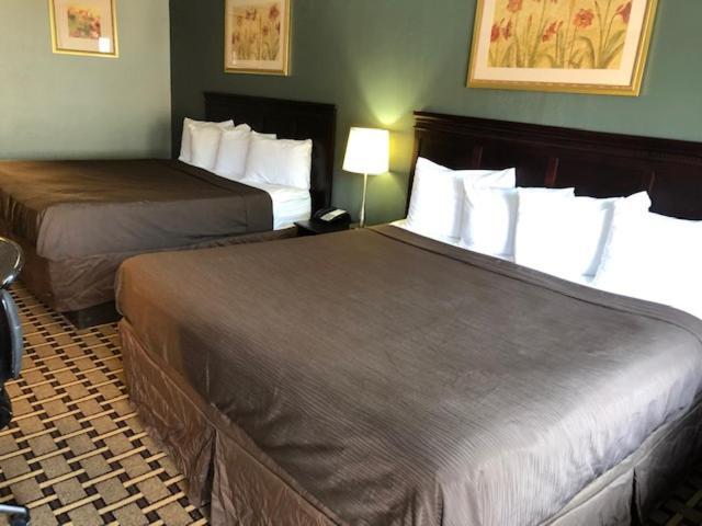 King Room Two King Beds Non-Smoking