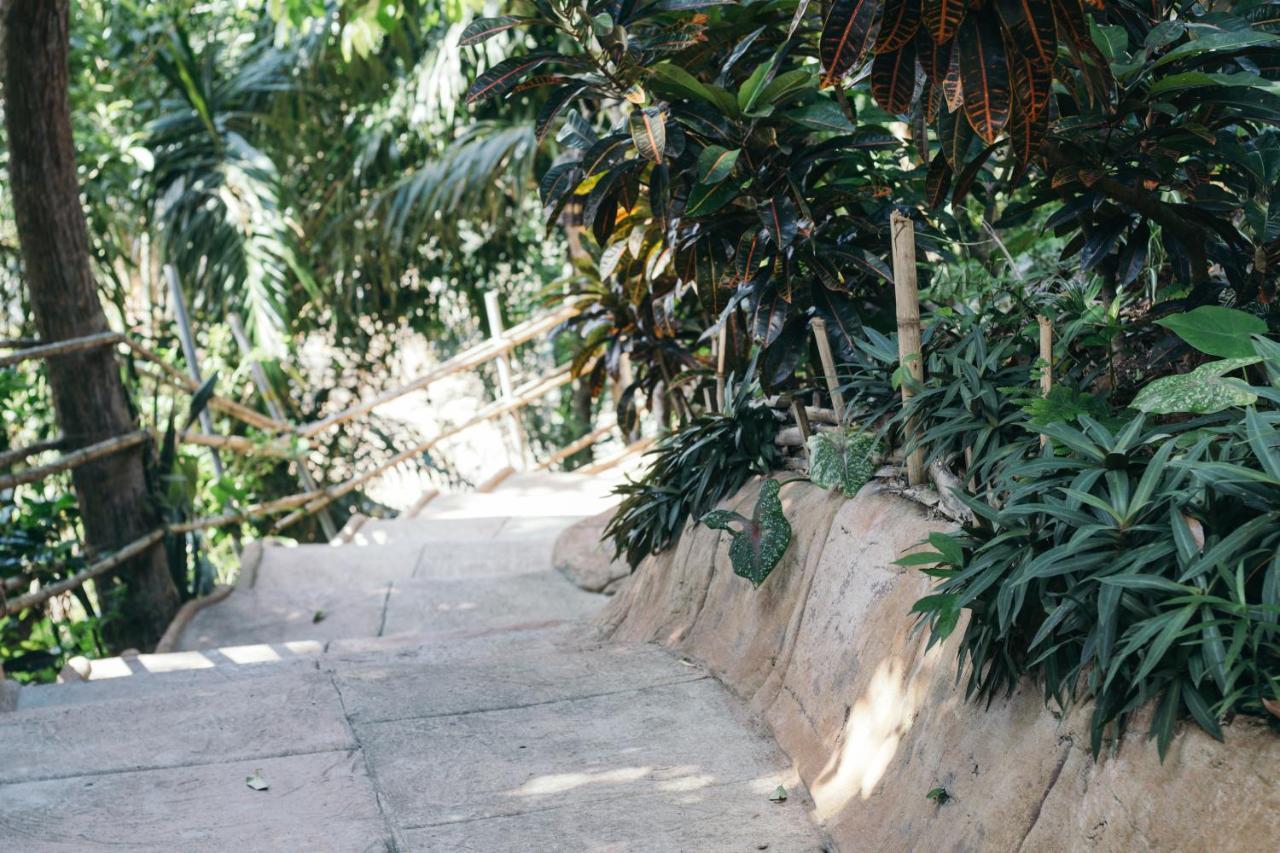 Bungalow Garden View