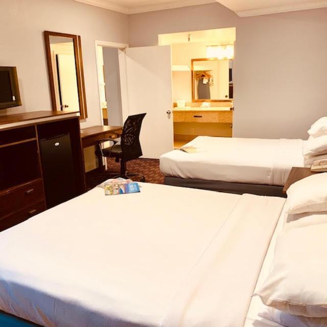 Family Suite,951298513:JPEG