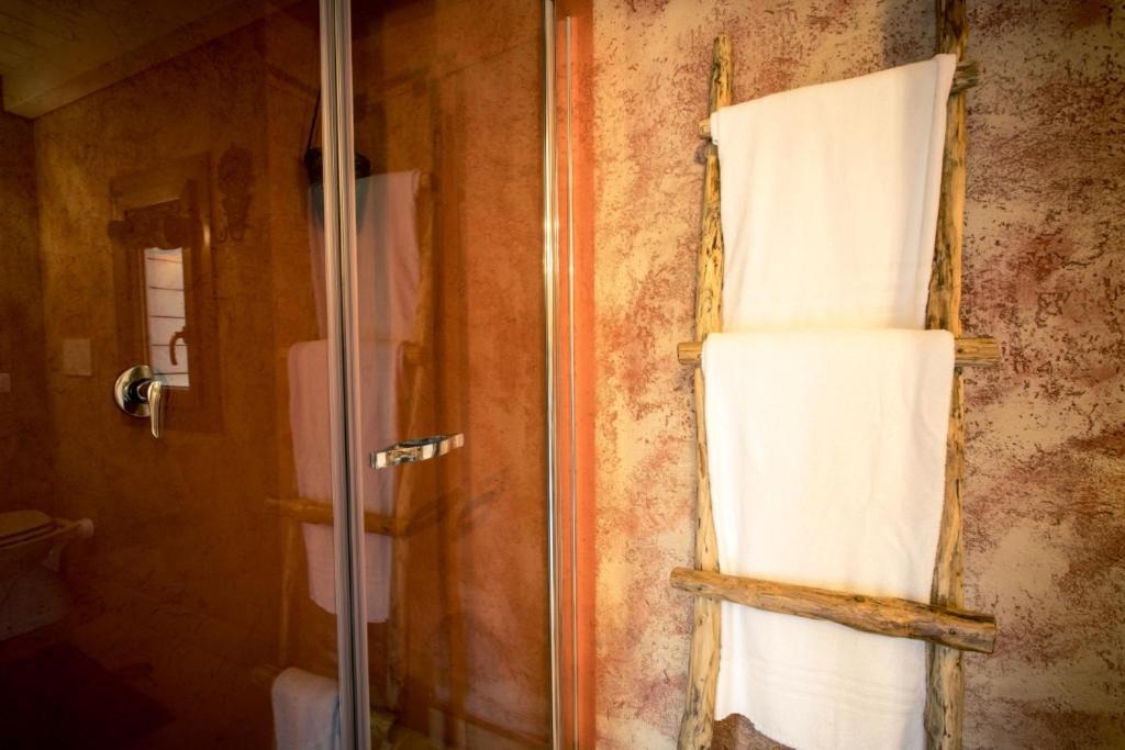Deluxe Double Room Shower