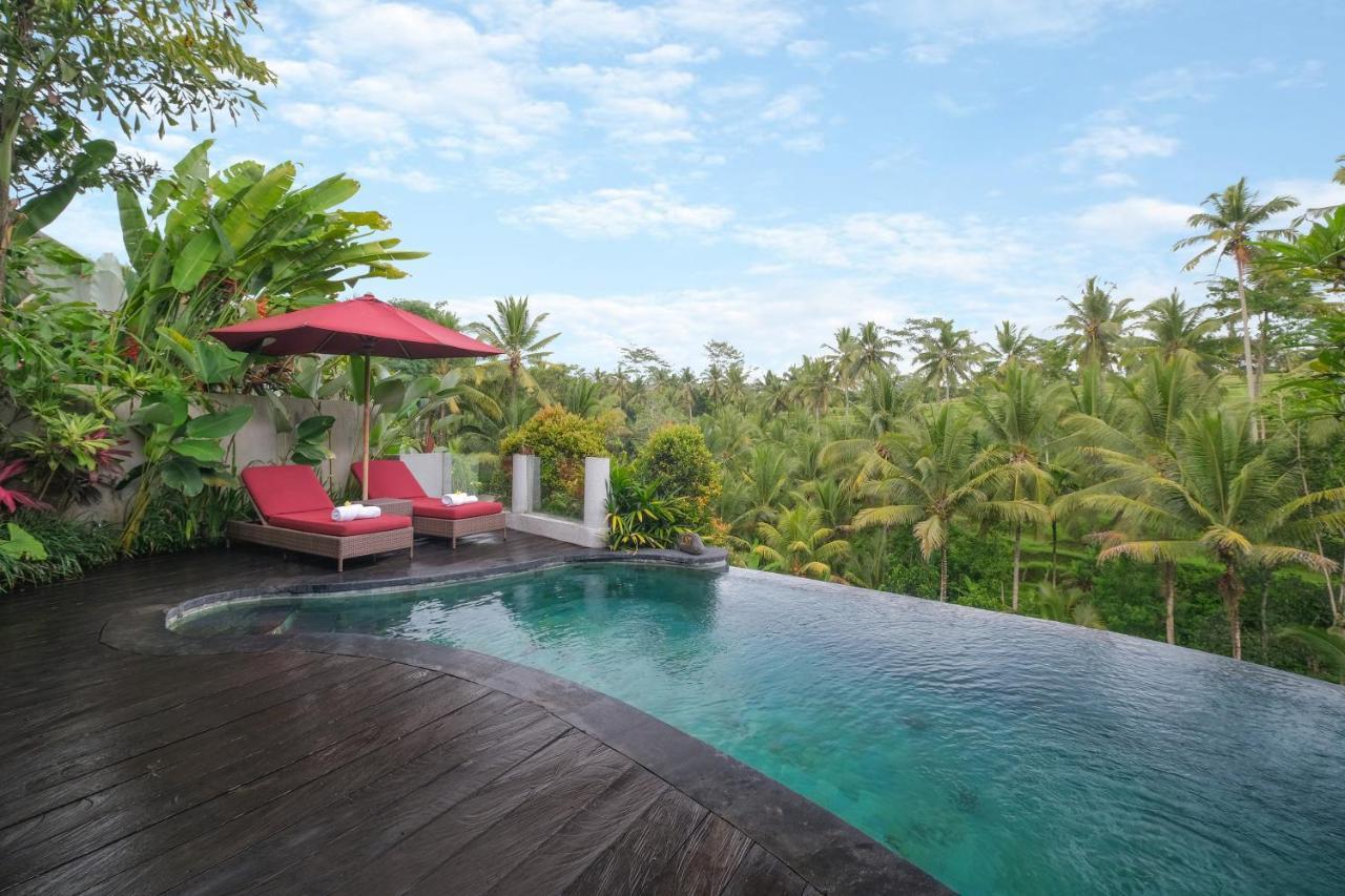 One-Bedroom Presidential Rice Terrace Pool Villa