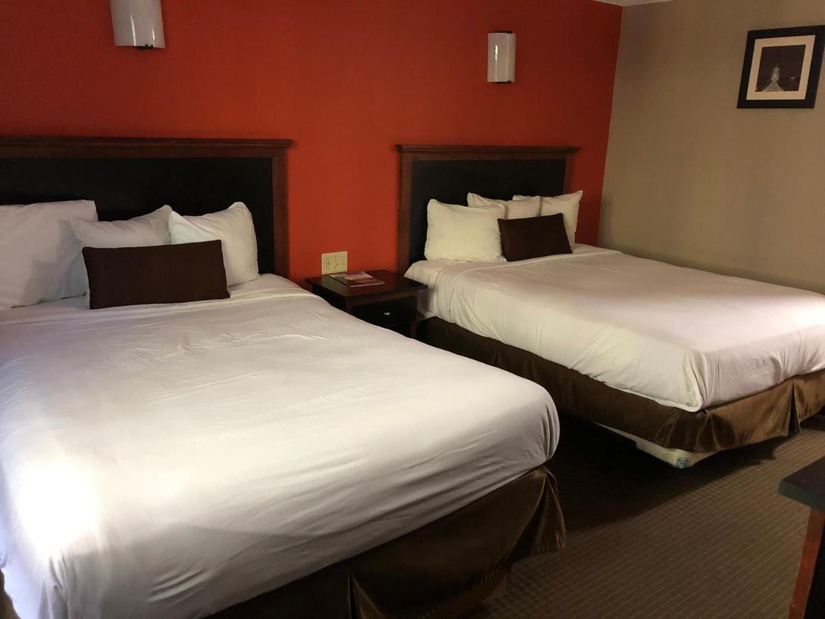 Standard Double Room Two Double Beds