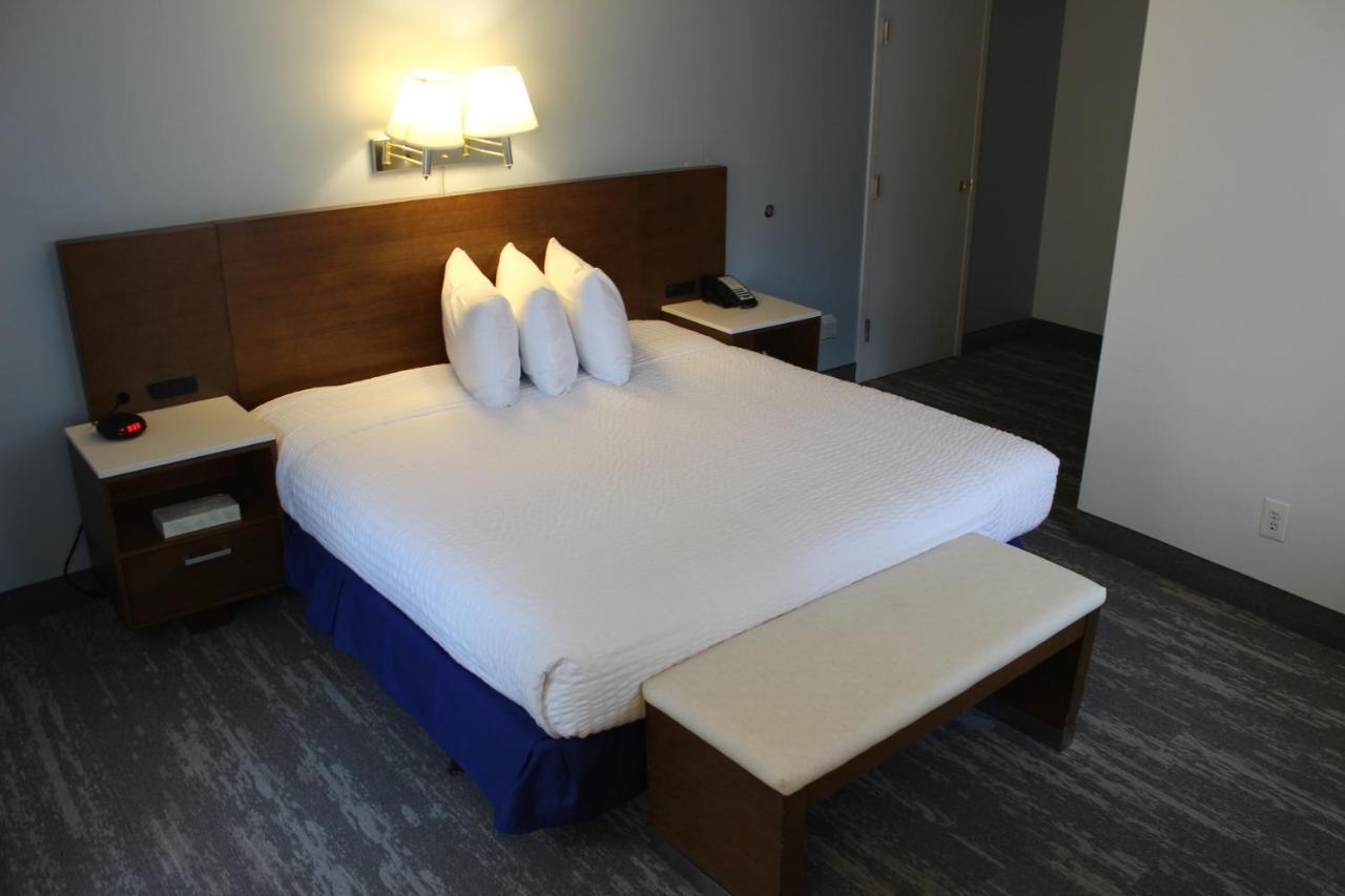 Kamer met Kingsize Bed