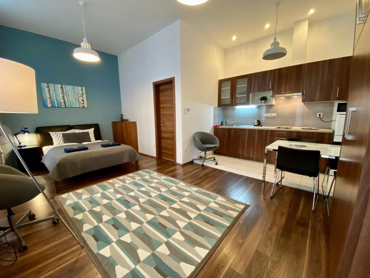 Studio Apartment