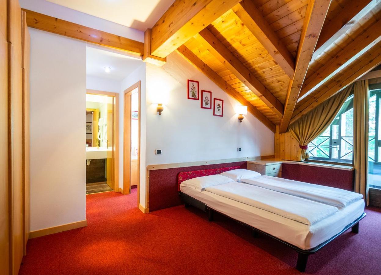 One-Bedroom Apartment Attic