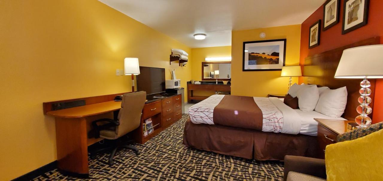 Deluxe King Room Sofa Bed