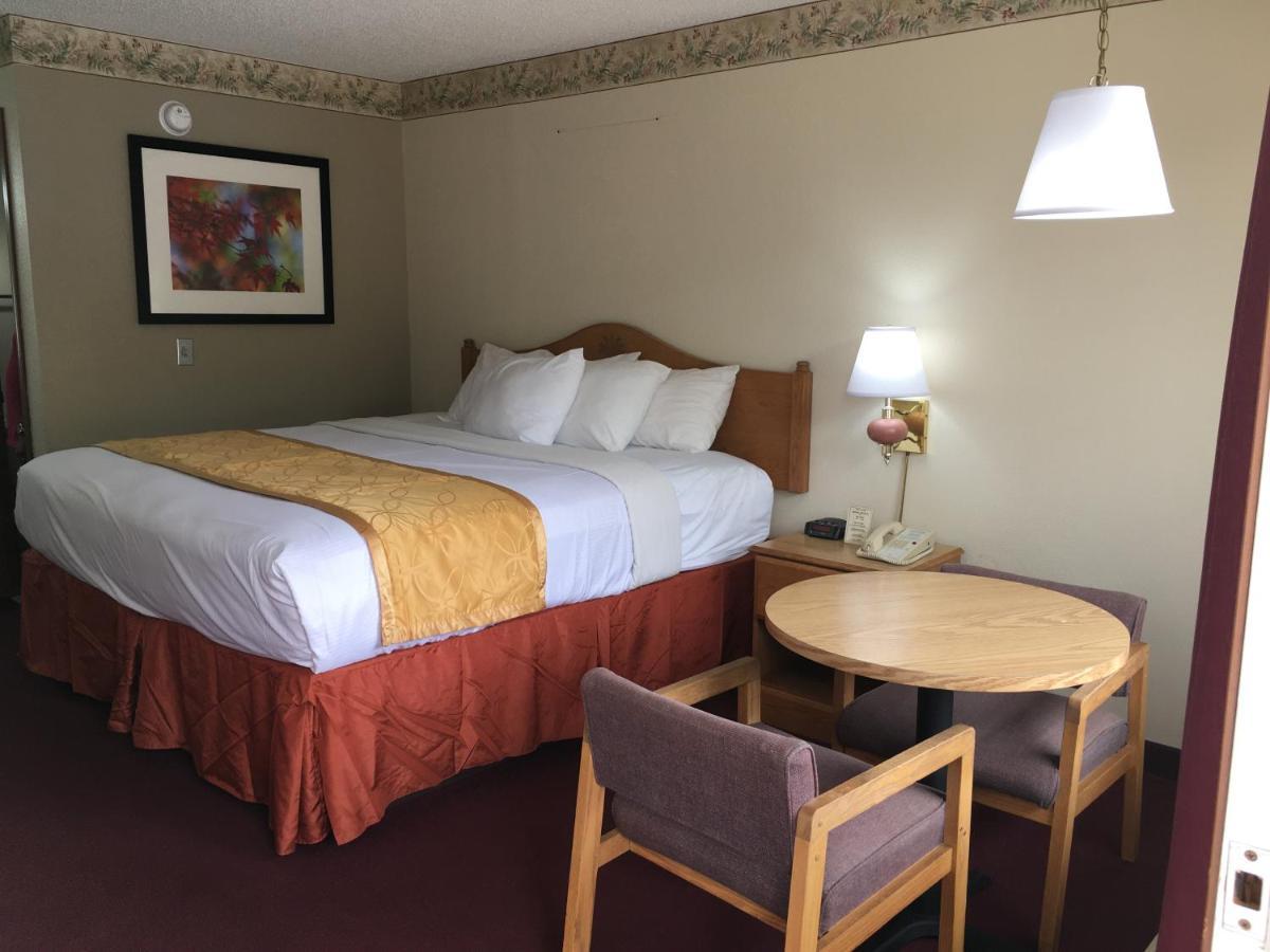 King Room,1207377829:JPEG
