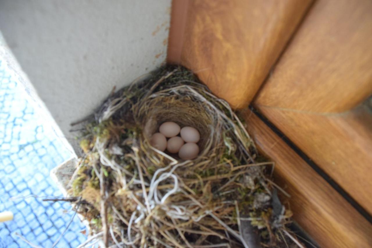 Duplex Room,1588127132:JPEG