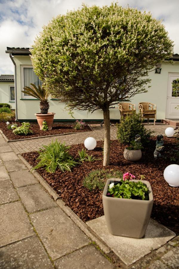 Two-Bedroom Bungalow Terrace