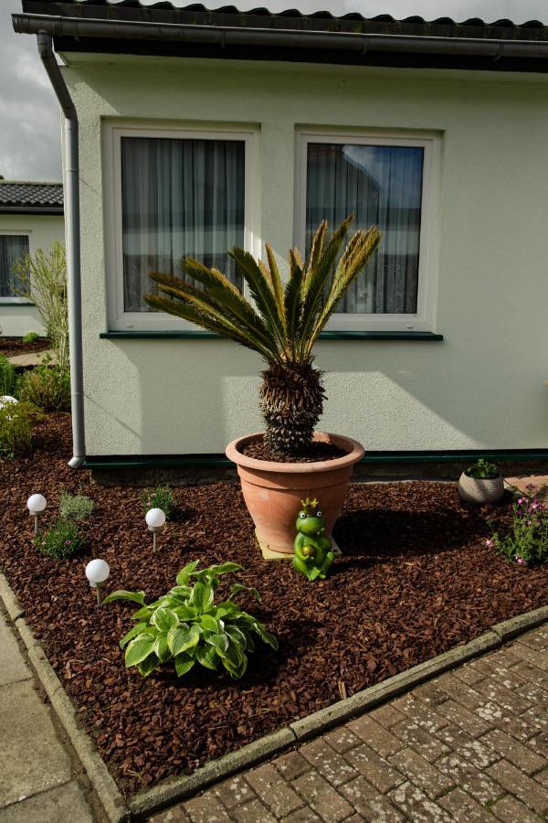 Two-Bedroom Bungalow Terrace