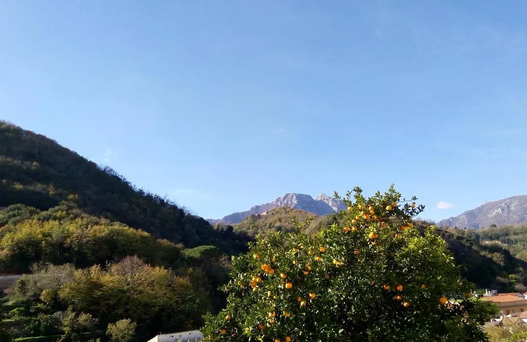 L'antico Giardino-1