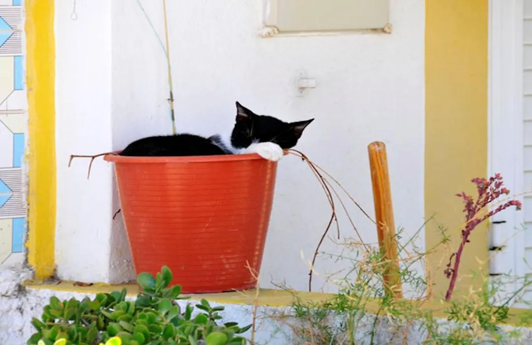 2 Bedroom Villa In Carvoeiro With Heated Pool Walking Distance To Resort And Beach-1