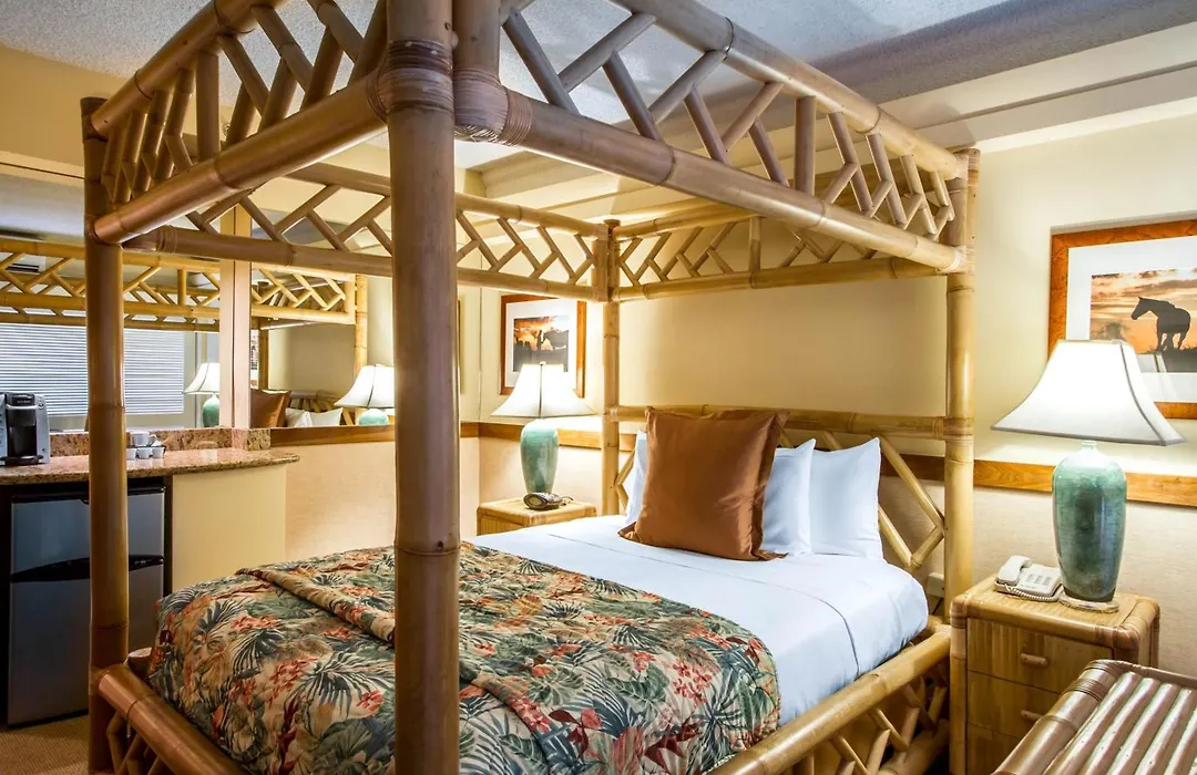 The Equus Hotel-1