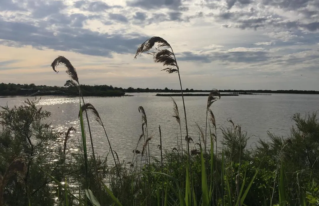Le Teich Tranquille-1