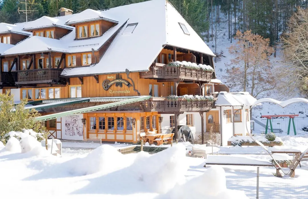 Hotel Tannenmühle-1