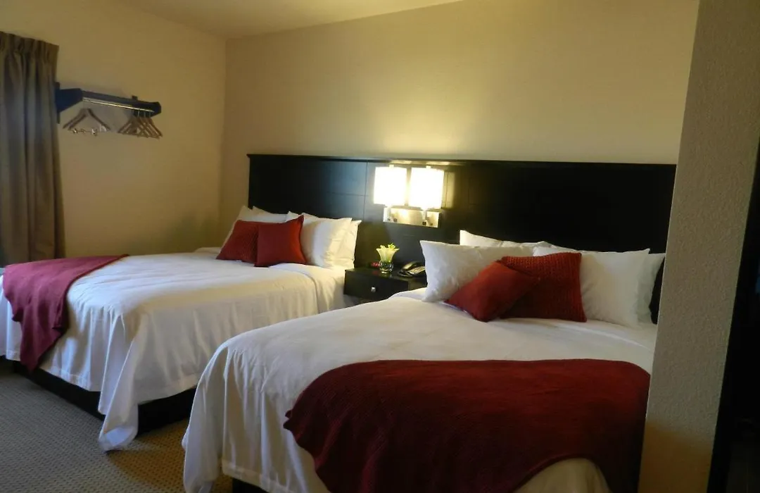 Black Gold Suites-1