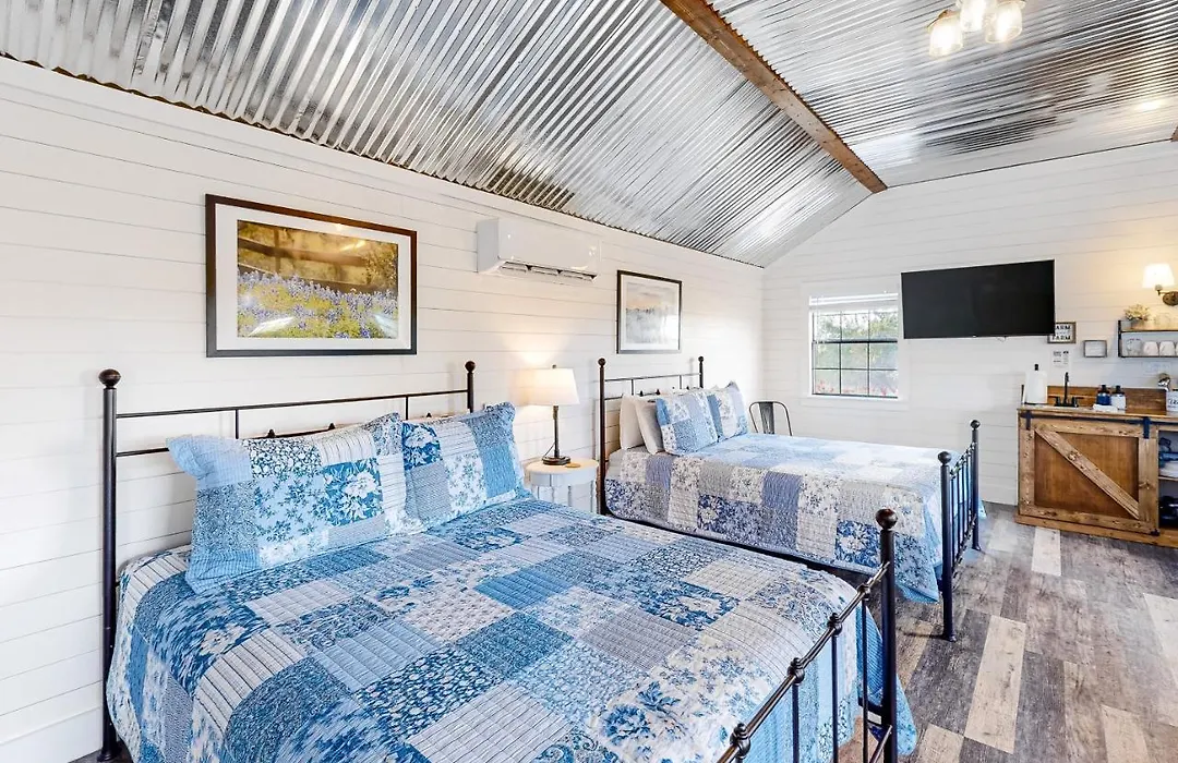 Bonny Bluebonnets Cottage 2-1