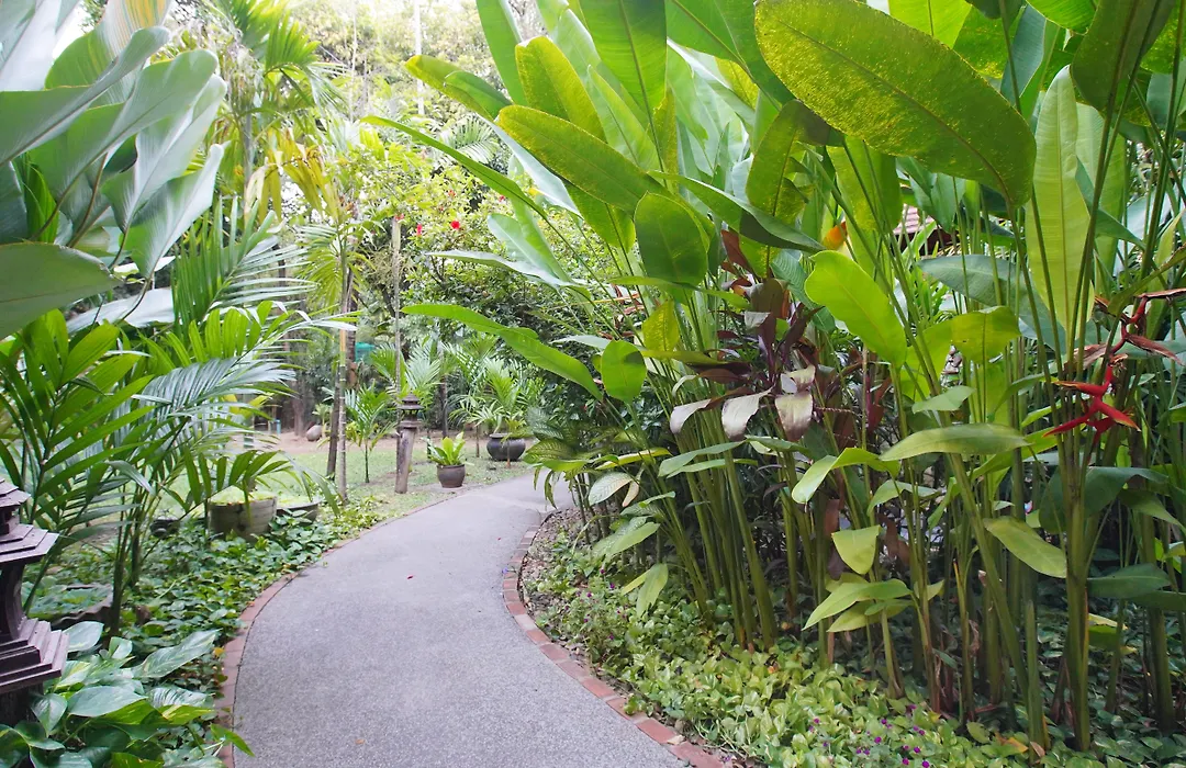 Yaang Come Village Hotel - SHA Extra Plus-1