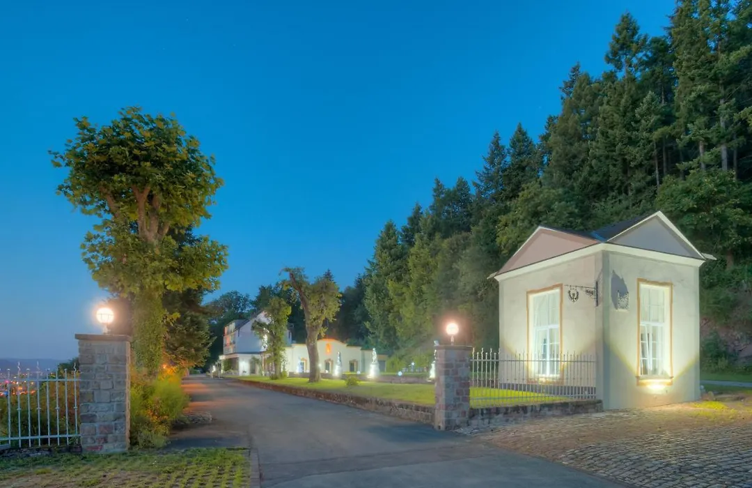 Vintage Hotel Petrisberg-1