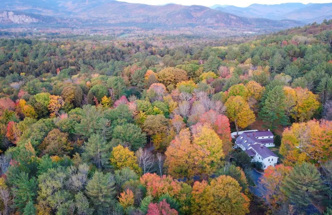 The Buttonwood Inn On Mt. Surprise-1
