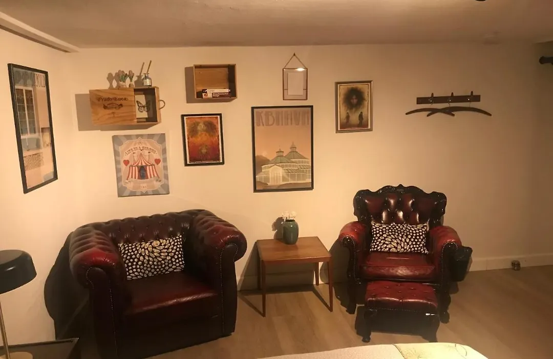 Comfortable Large Room King S Bed Near Cph Centre-1