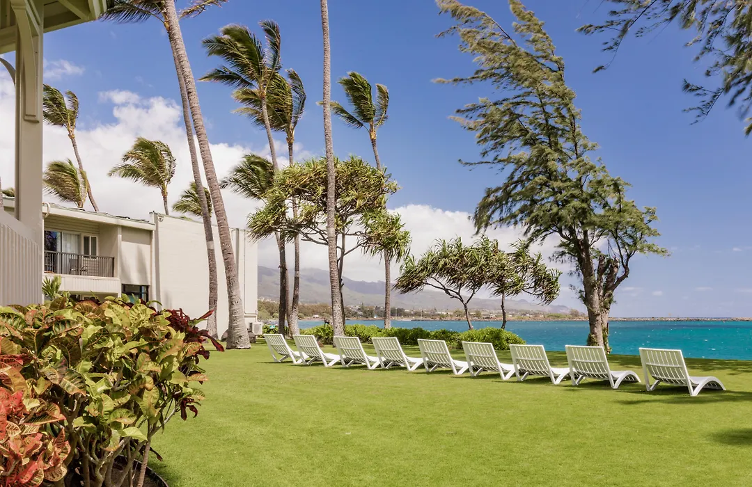 Maui Beach Hotel-1