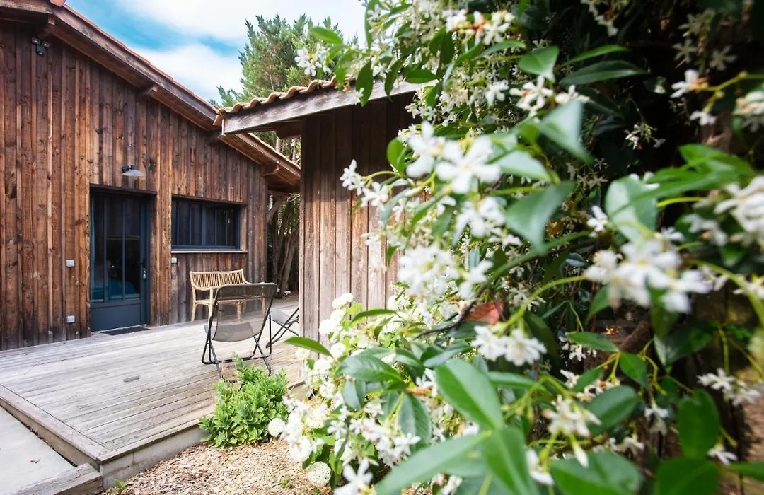 Hôtel Ma Cabane Au Ferret A Proximite De L'Ocean-1