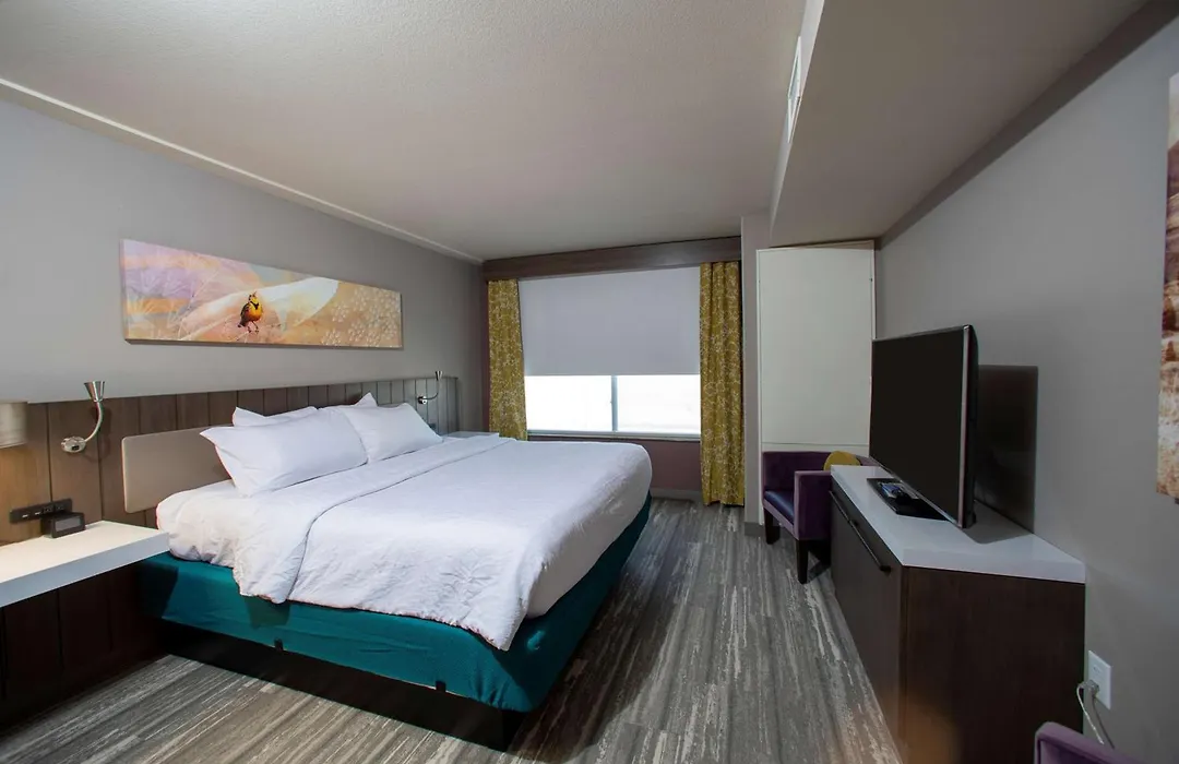 Hilton Garden Inn Rapid City-1
