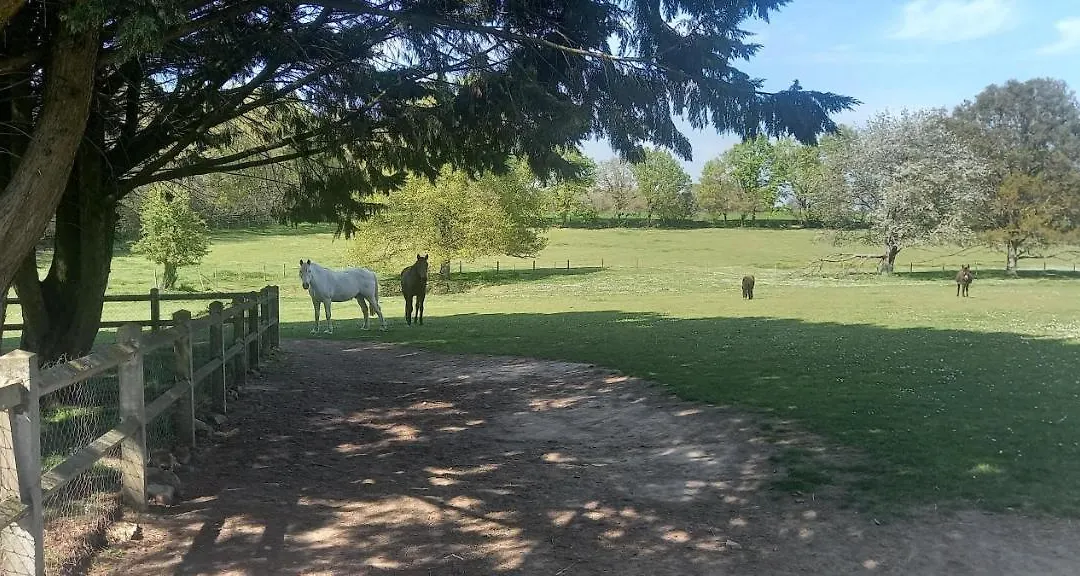 Les Grands Bois à BOUSSE-1